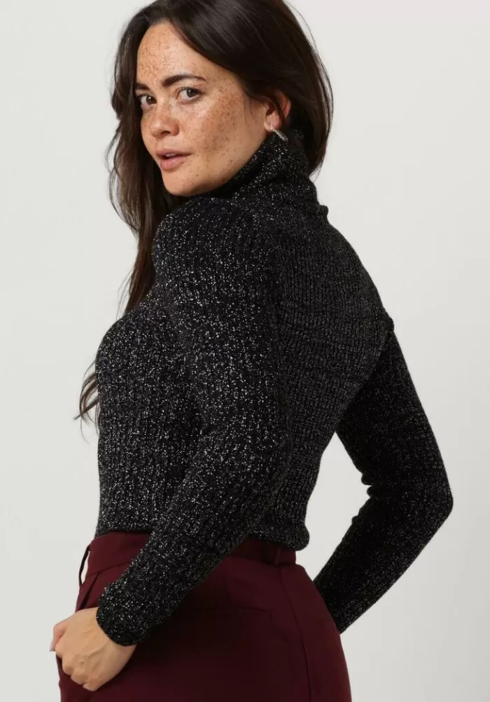 Dames ACCESS Truien & Vesten^ Coltrui Lurex Knitted Turtleneck Top