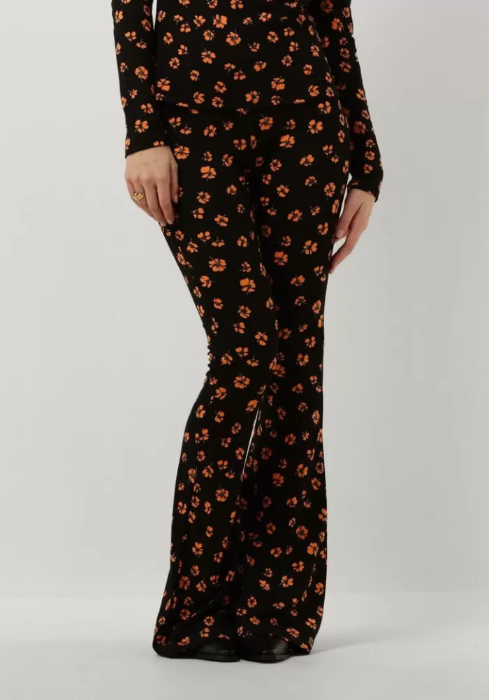 Dames CATWALK JUNKIE Broeken^ Flared Broek Tr Tangerine