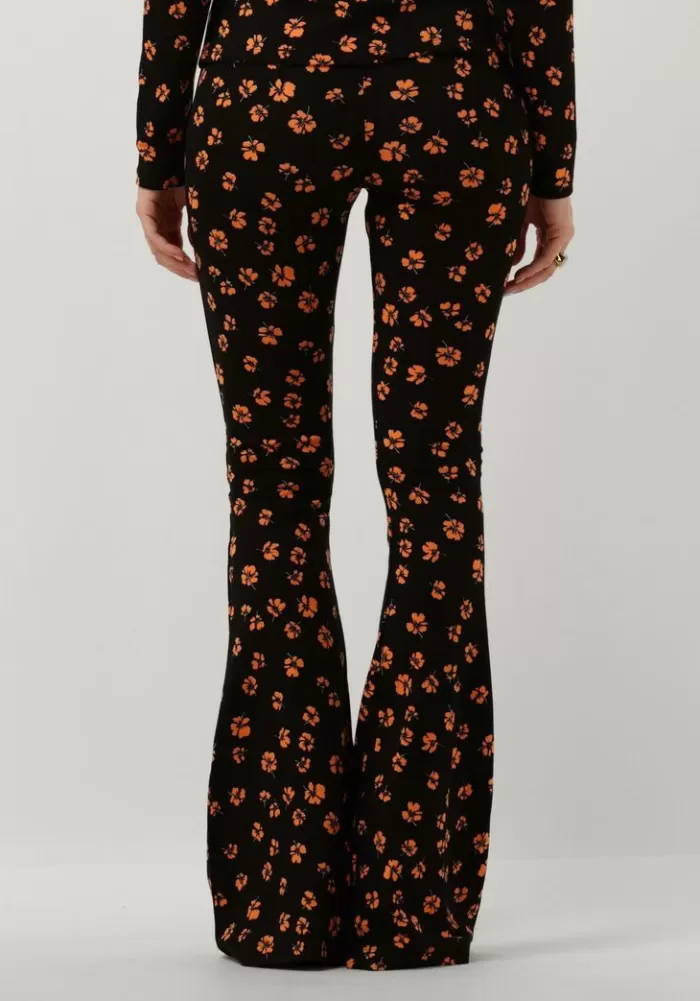 Dames CATWALK JUNKIE Broeken^ Flared Broek Tr Tangerine