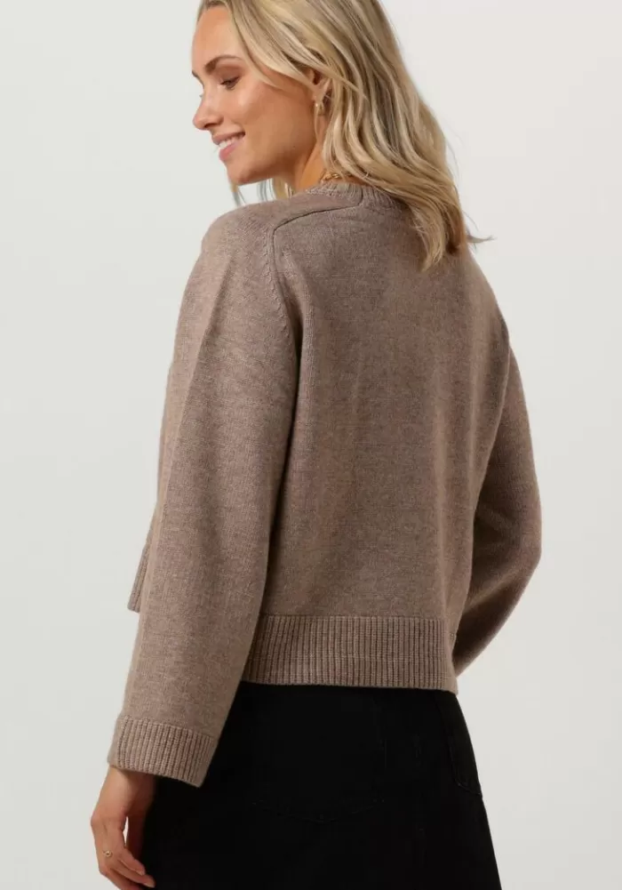 Dames CO'COUTURE Truien & Vesten^ Trui Maja Crop O Knit