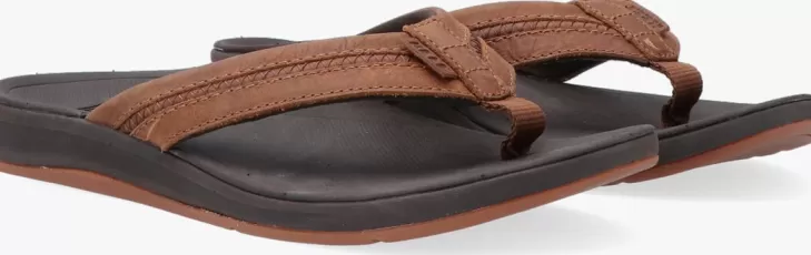 Clearance REEF E Teenslippers Ortho Bounce Coast Men Bruin