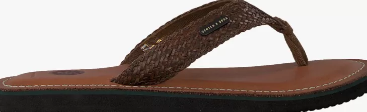 Discount SCOTCH & SODA E Slippers Cadelli Bruin