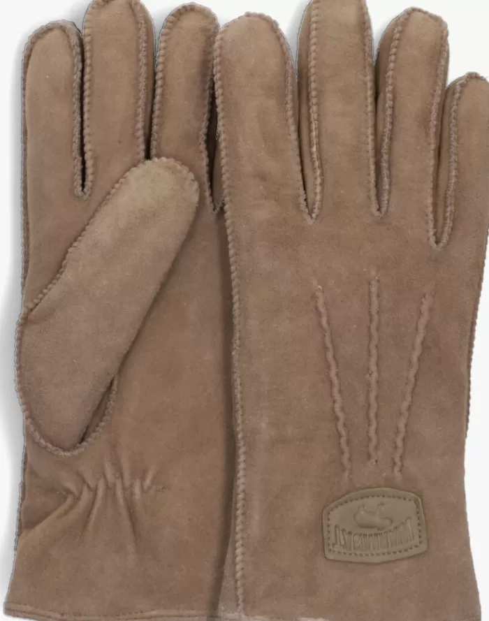 Dames WARMBAT Handschoenen^E Handschoenen Gloves Women