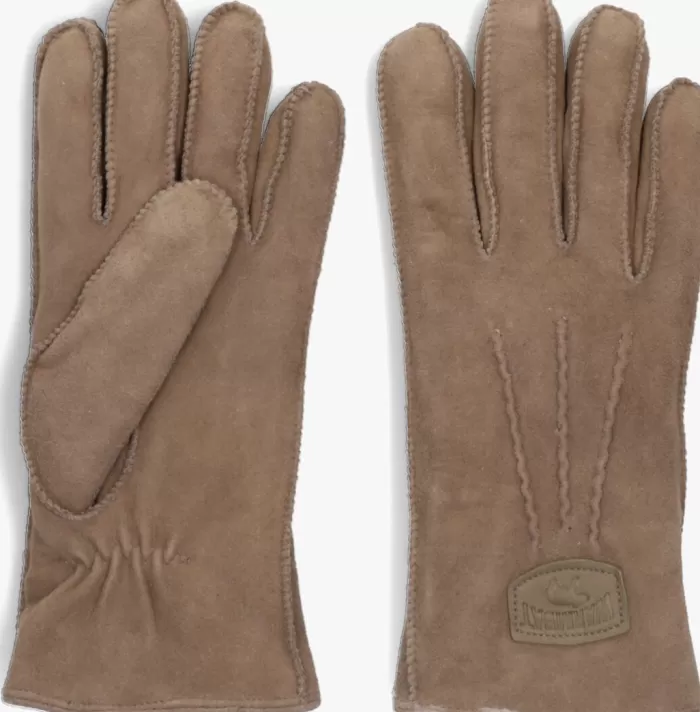 Dames WARMBAT Handschoenen^E Handschoenen Gloves Women