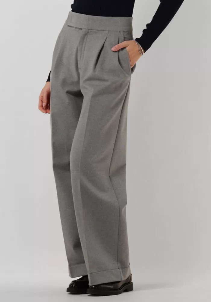 Dames VANILIA Broeken^Grijze Wijde Broek Punto Pleated Wide