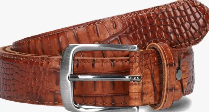 Shop REHAB Riem Belt Croco 421 Cognac