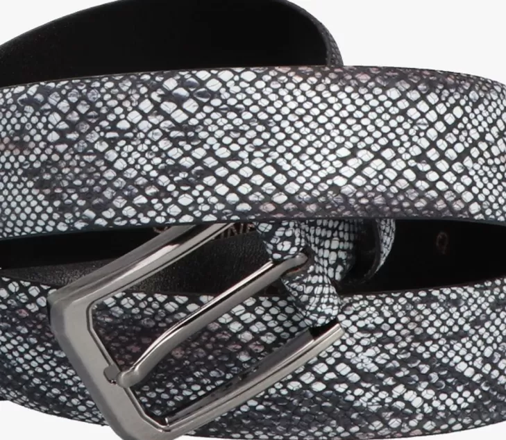 Fashion MAZZELTOV Te Riem Enzo Belt Wit