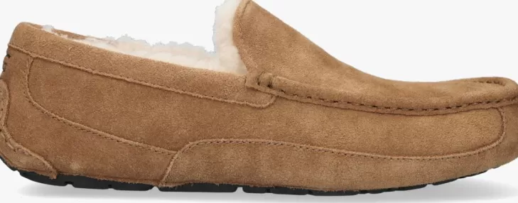 Fashion UGG Pantoffels Ascot Cognac